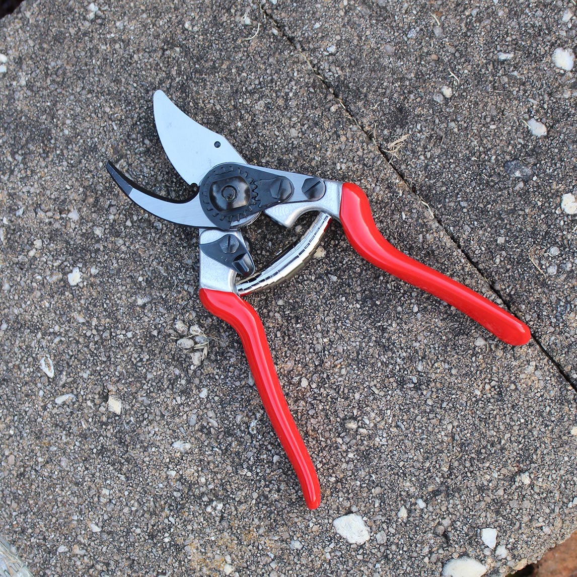 Felco 6 - All Rounder