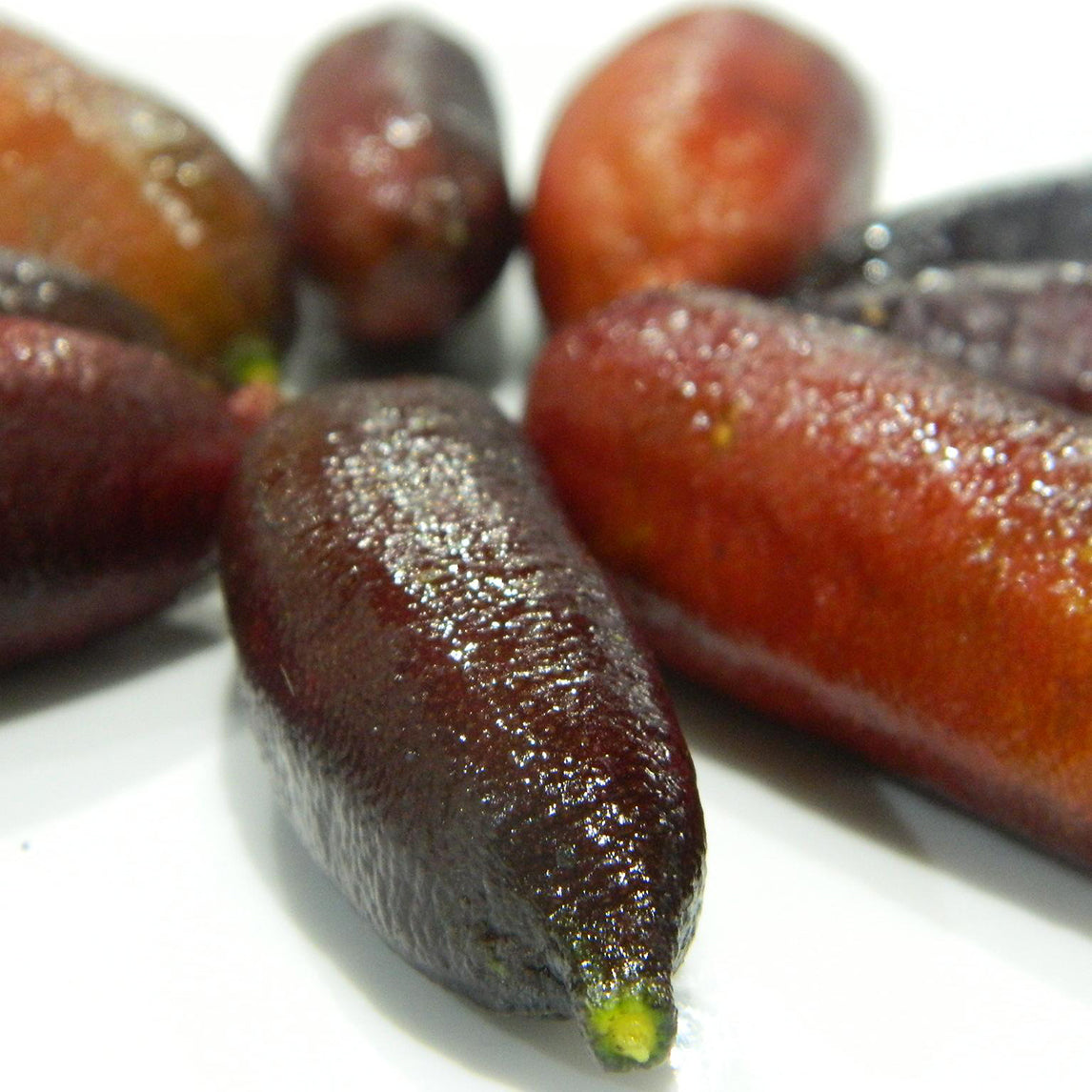 Finger Lime 'Rosebank Red'