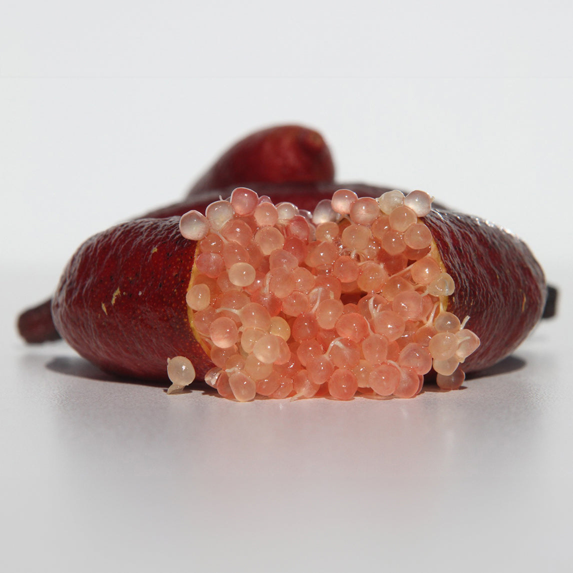 Finger Lime 'Rosebank Red'