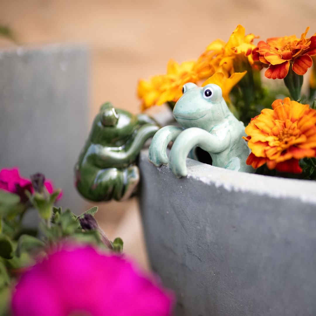 Frog Pot Sitter – Set of 3