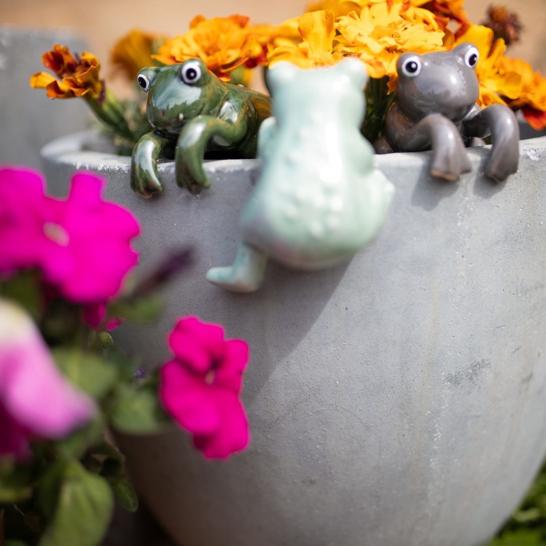 Frog Pot Sitter – Set of 3