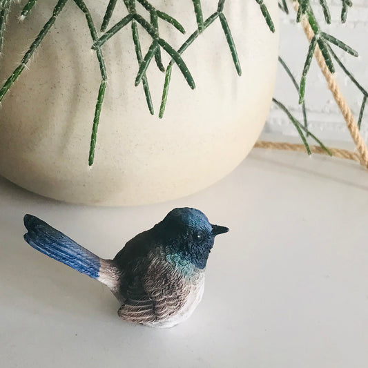 Fairy Wren - Blue