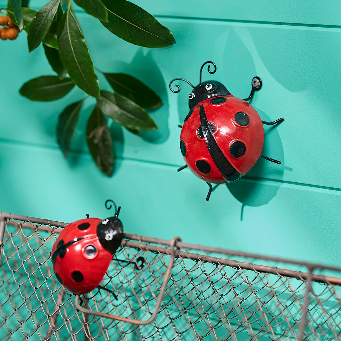 Ladybug + Bee Bundle