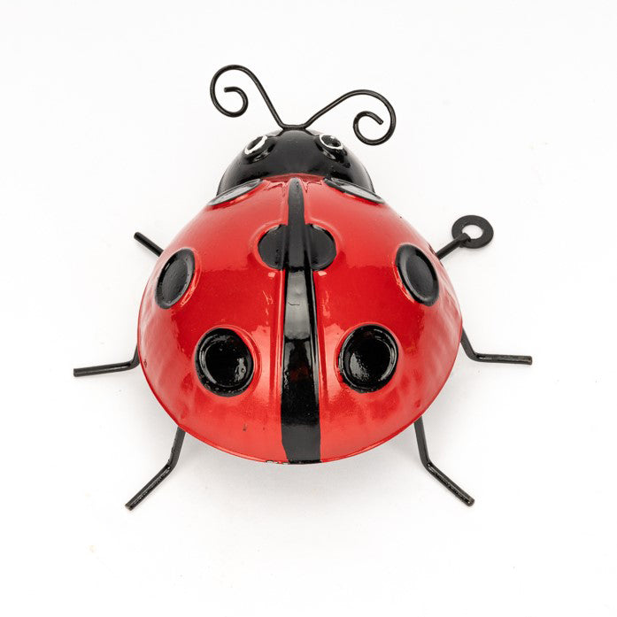 Ladybug