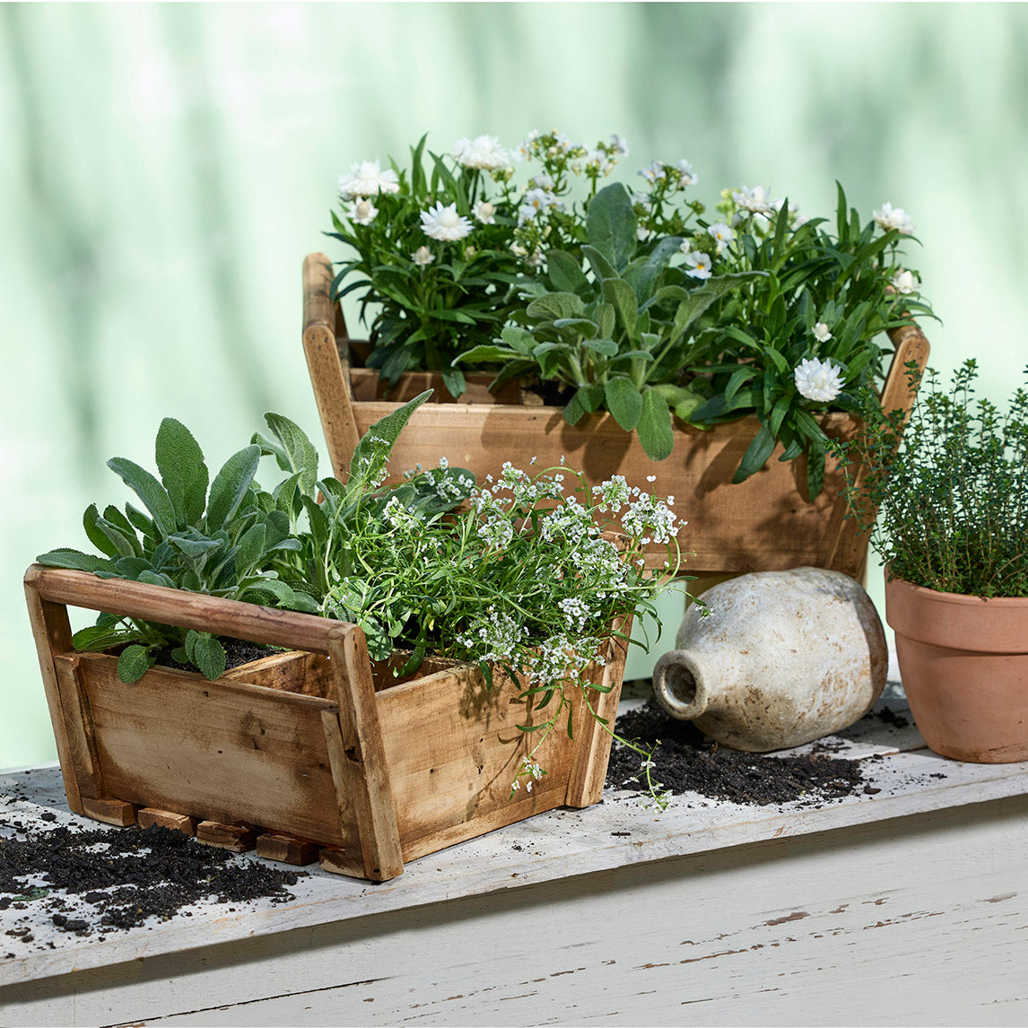 Recycled Timber Trug - 4 Square