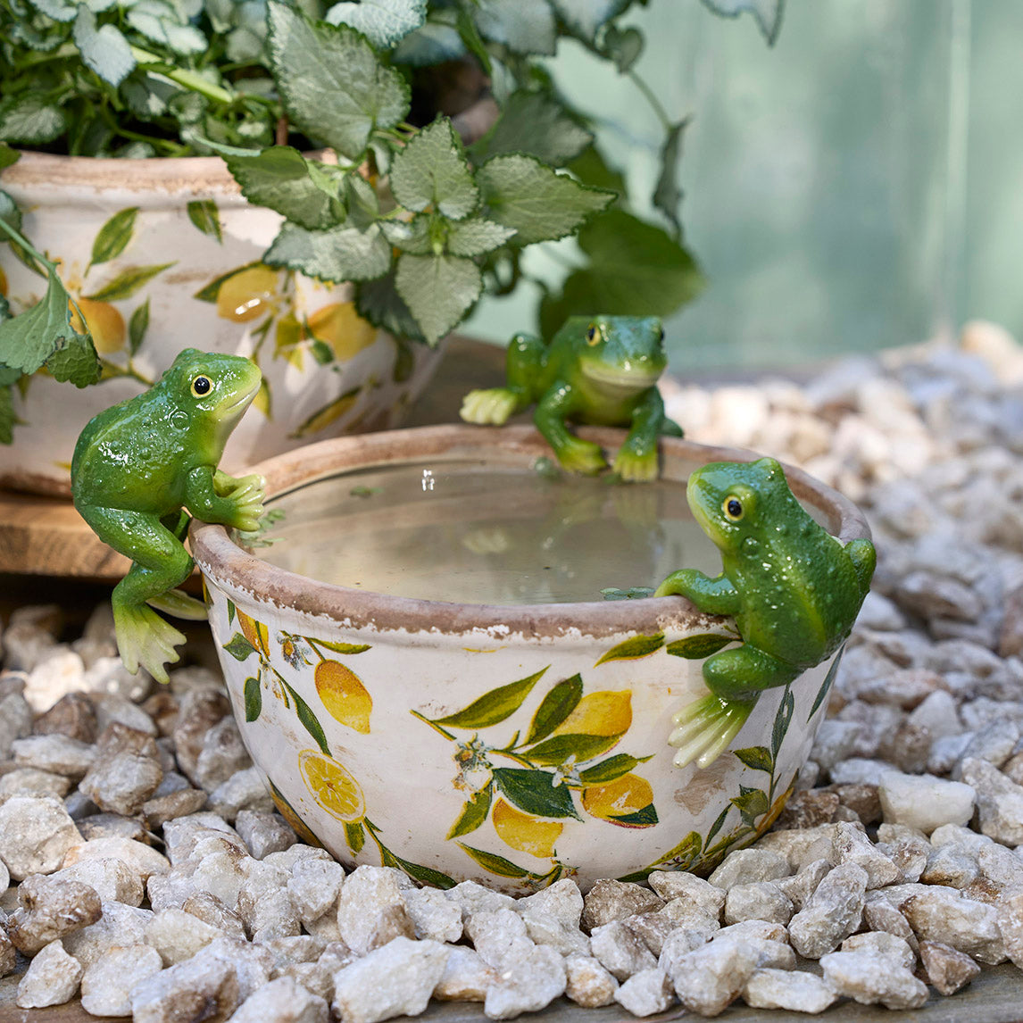 Green Tree Frog Pot Sitters - Set of 2