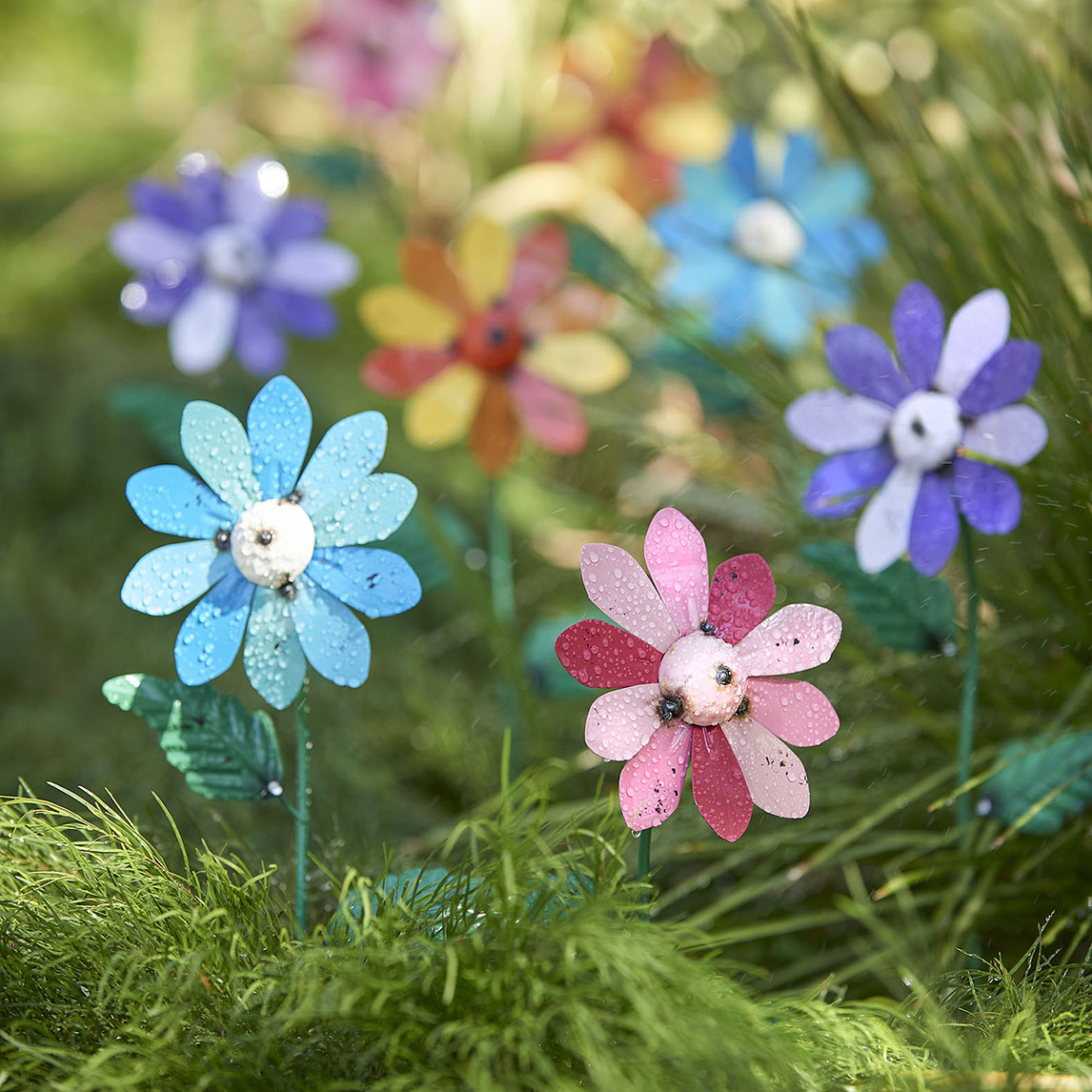 Colourful Industrial Daisy - Set of 4