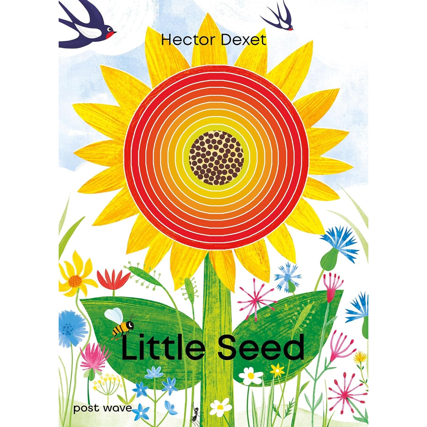 Little Seed by Hector Dexet