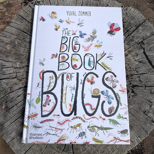 The Big Book of Bugs by Yuval Zommer