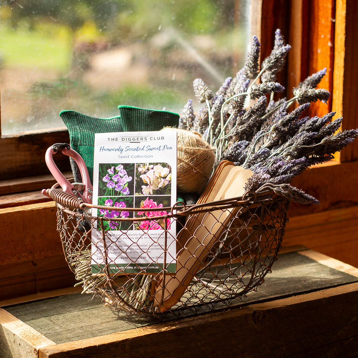 Cut Flower Bundle - Heavenly Scented Sweet Pea