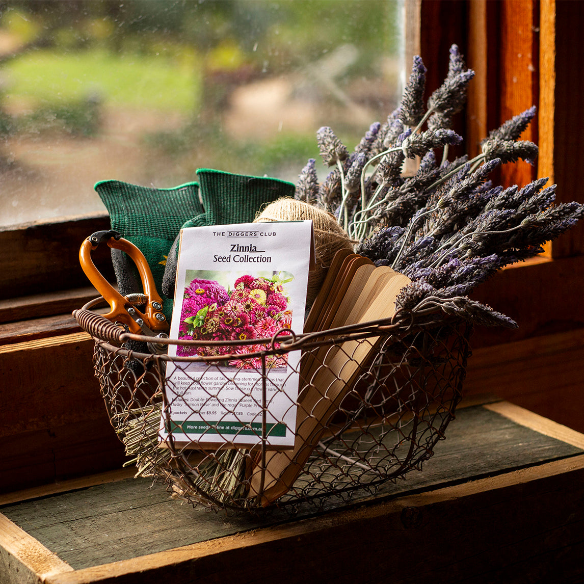 Cut Flower Bundle - Zinnia Shades