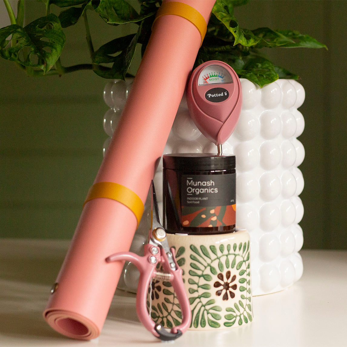 Indoor plant Lover's Bundle - Dusty Rose