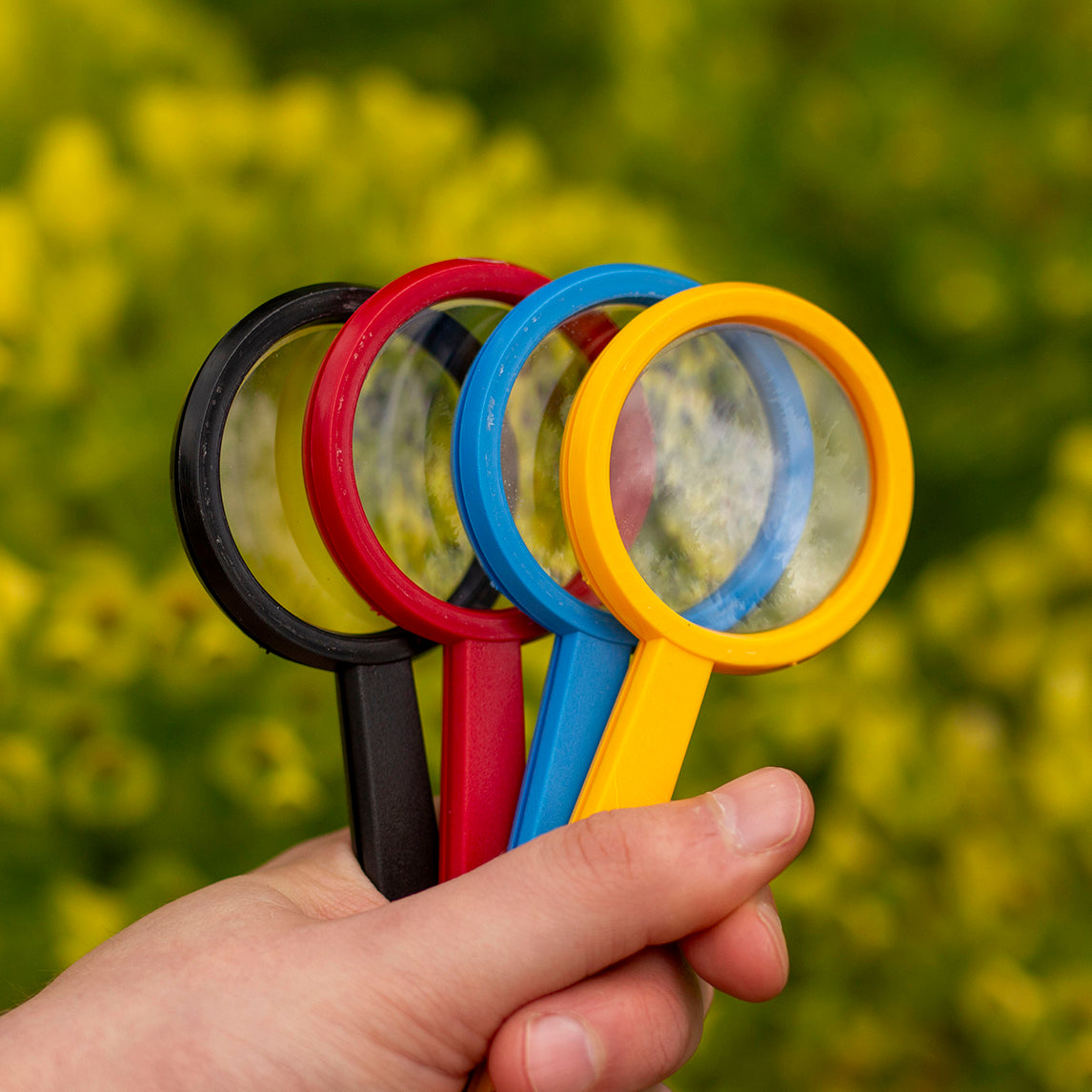Magnifying Lens - Assorted Colours
