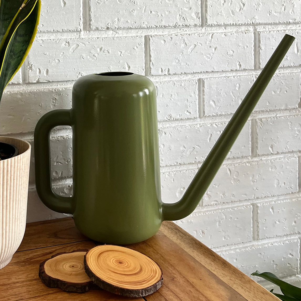 Pilea Watering Can - 2 Colours available