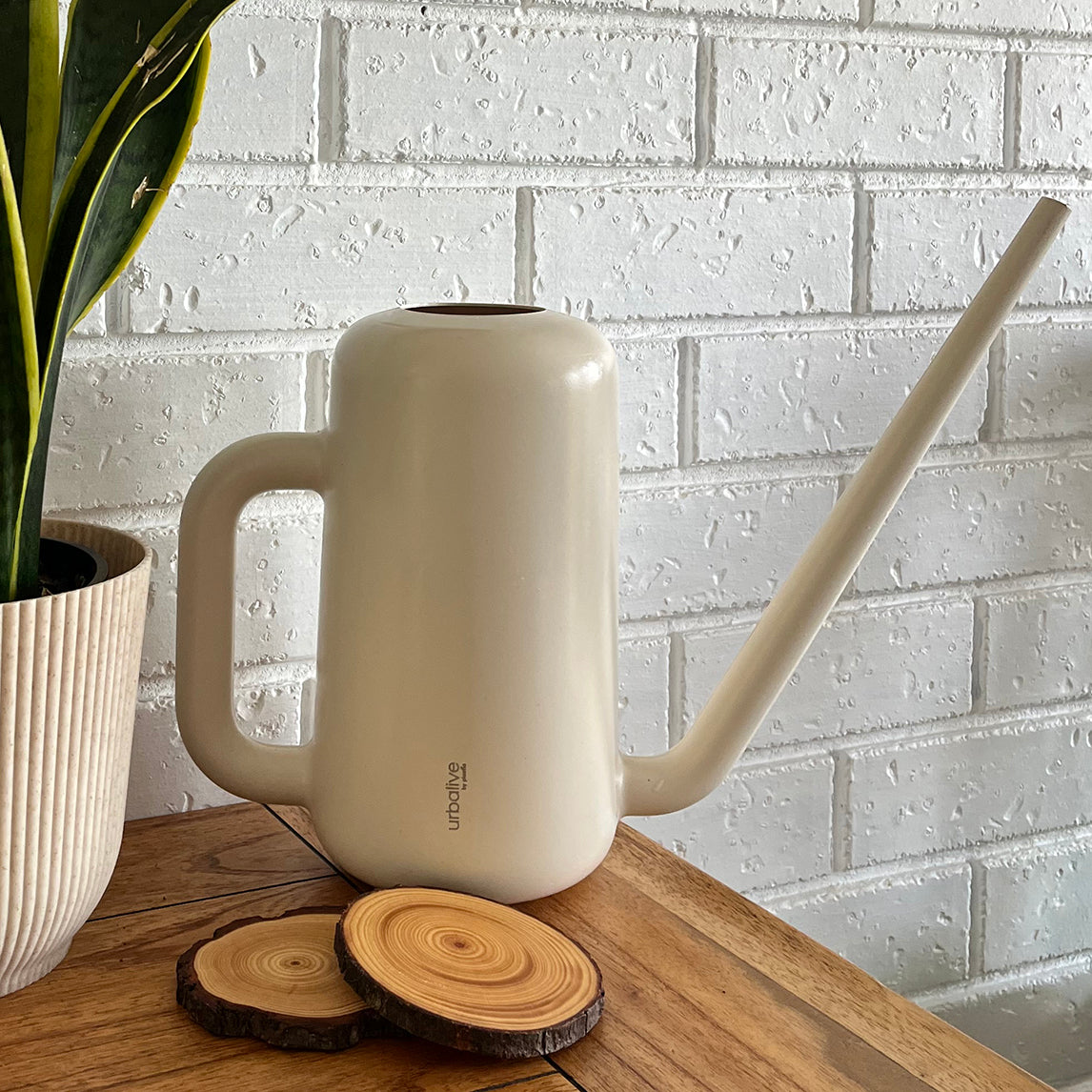 Pilea Watering Can - 2 Colours available