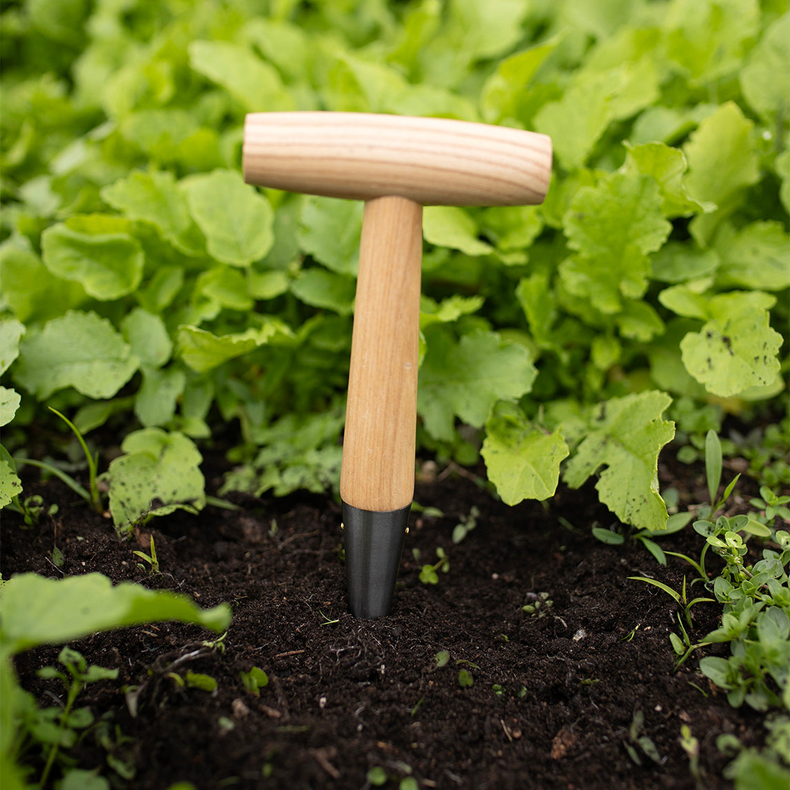 Stainless Steel Dibbler