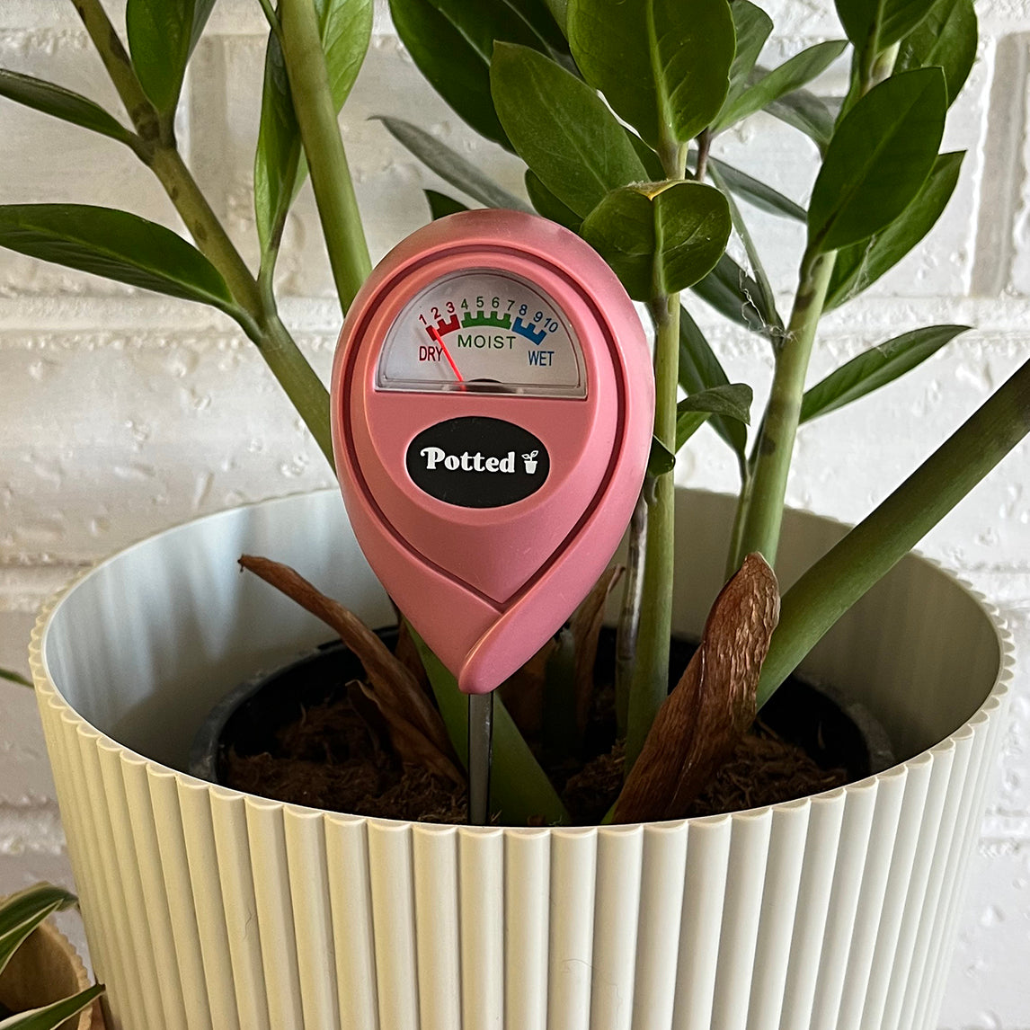 Indoor Moisture Meter - 2 Colours available