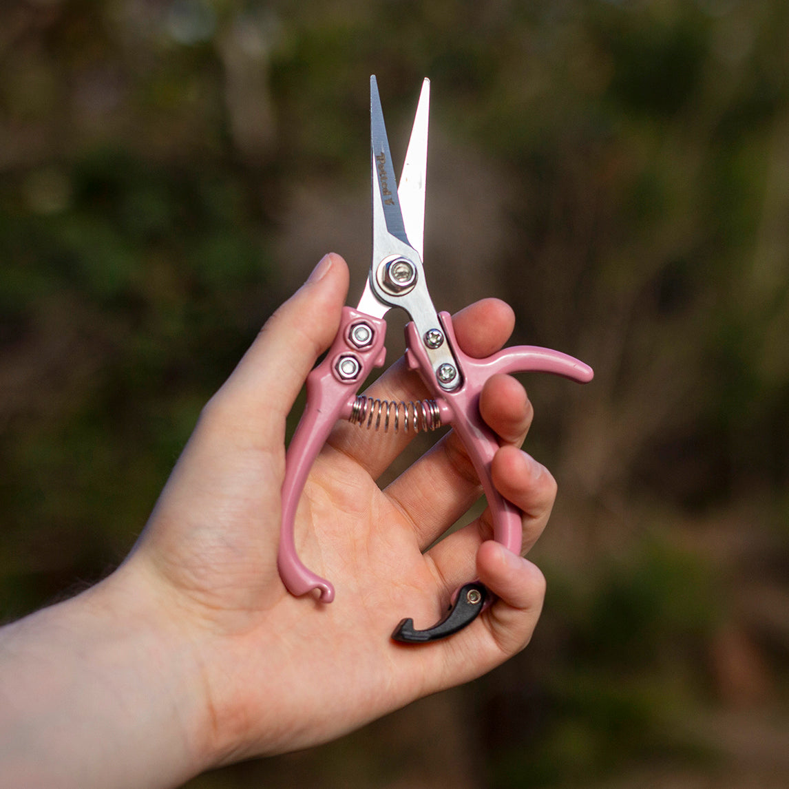 Carbon Steel Plant Snip – Pink