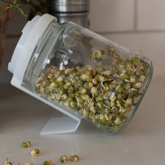 Glass Sprouter