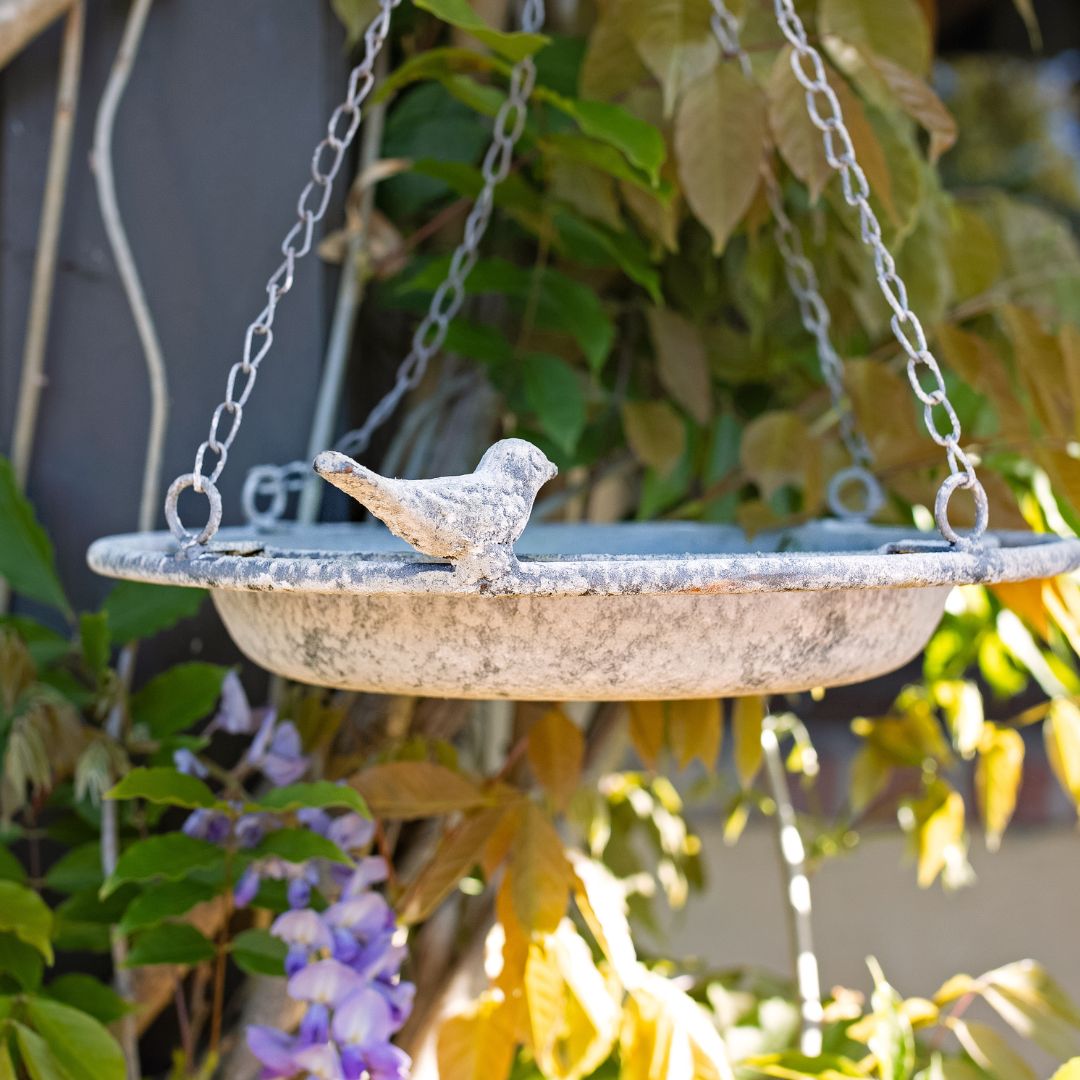 Hanging Bird Feeder