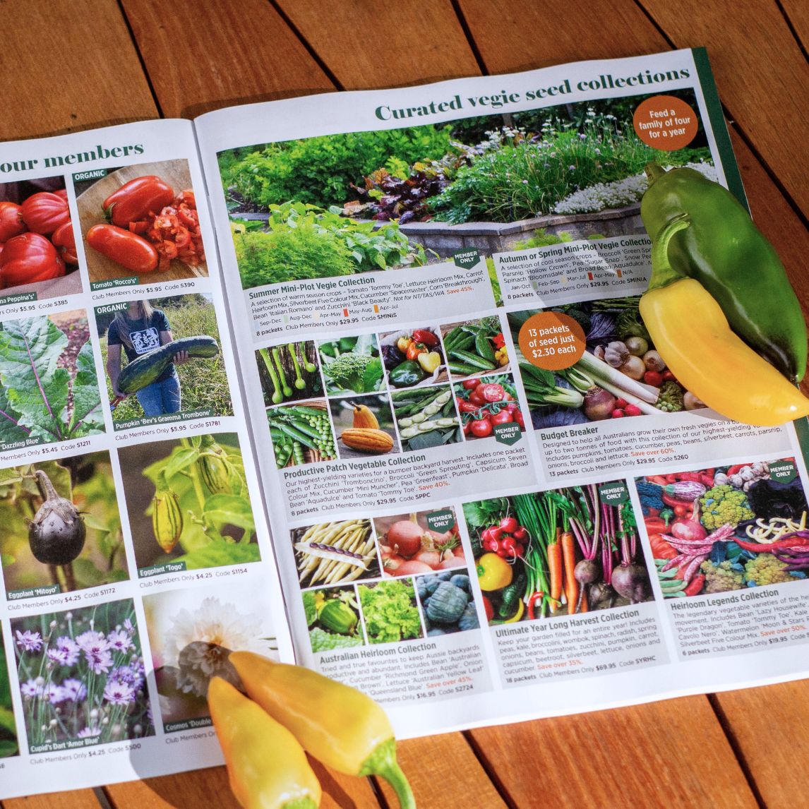 Heirloom Seed Annual 2025/2026