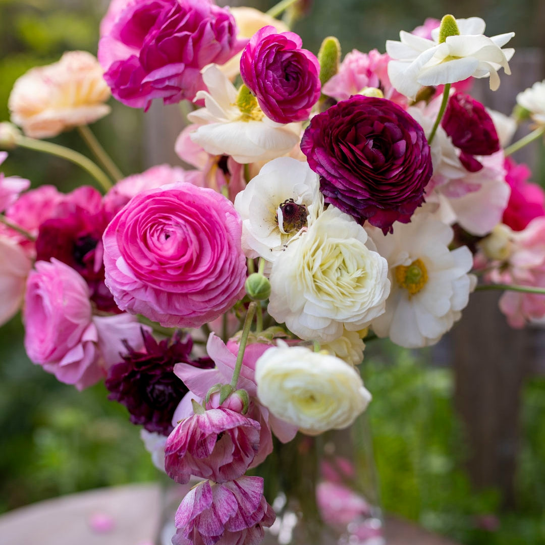 Lady Woodland Bulb Collection (120 Corms)