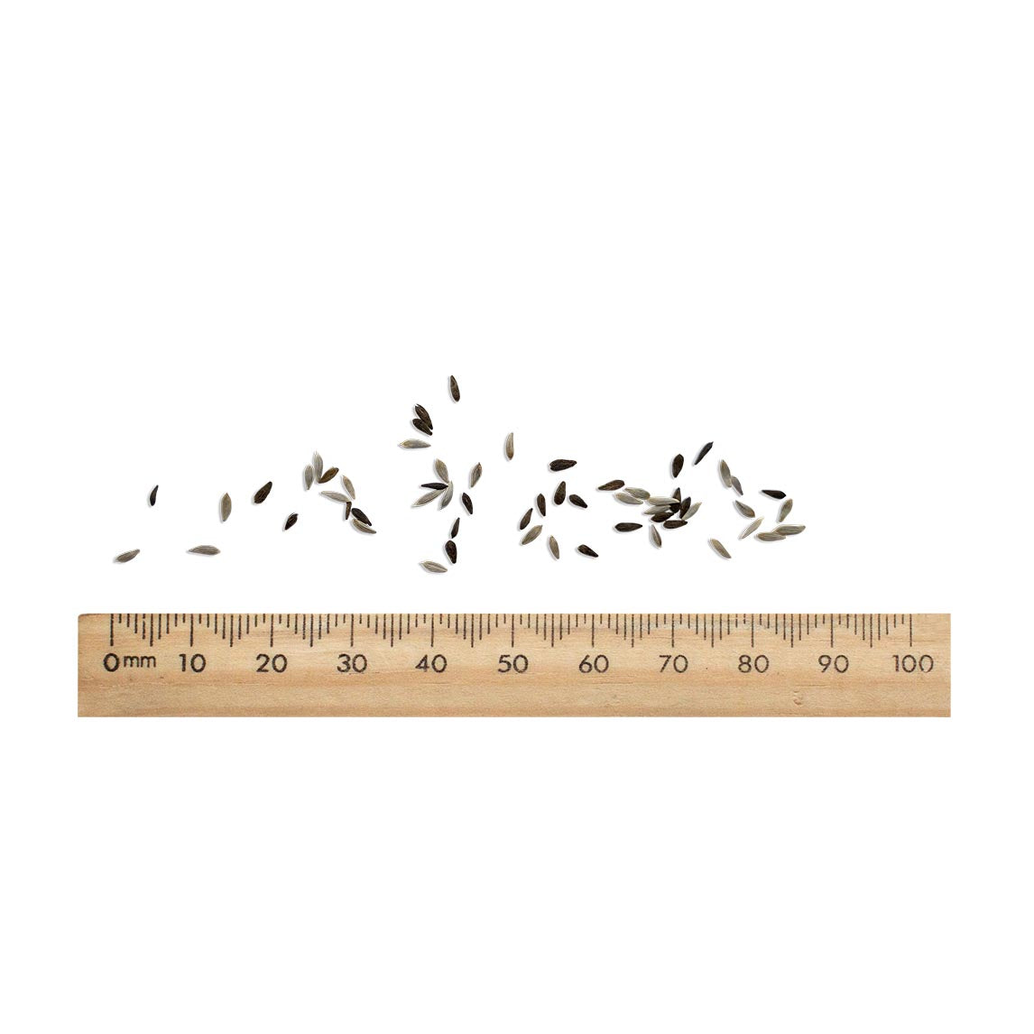 Lettuce Heirloom Mix