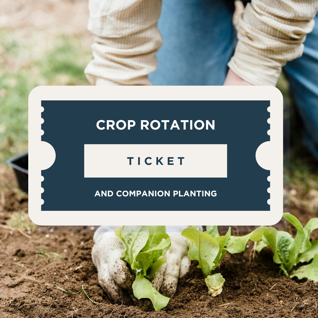 Crop Rotation and Companion Planting: Heronswood Masterclass