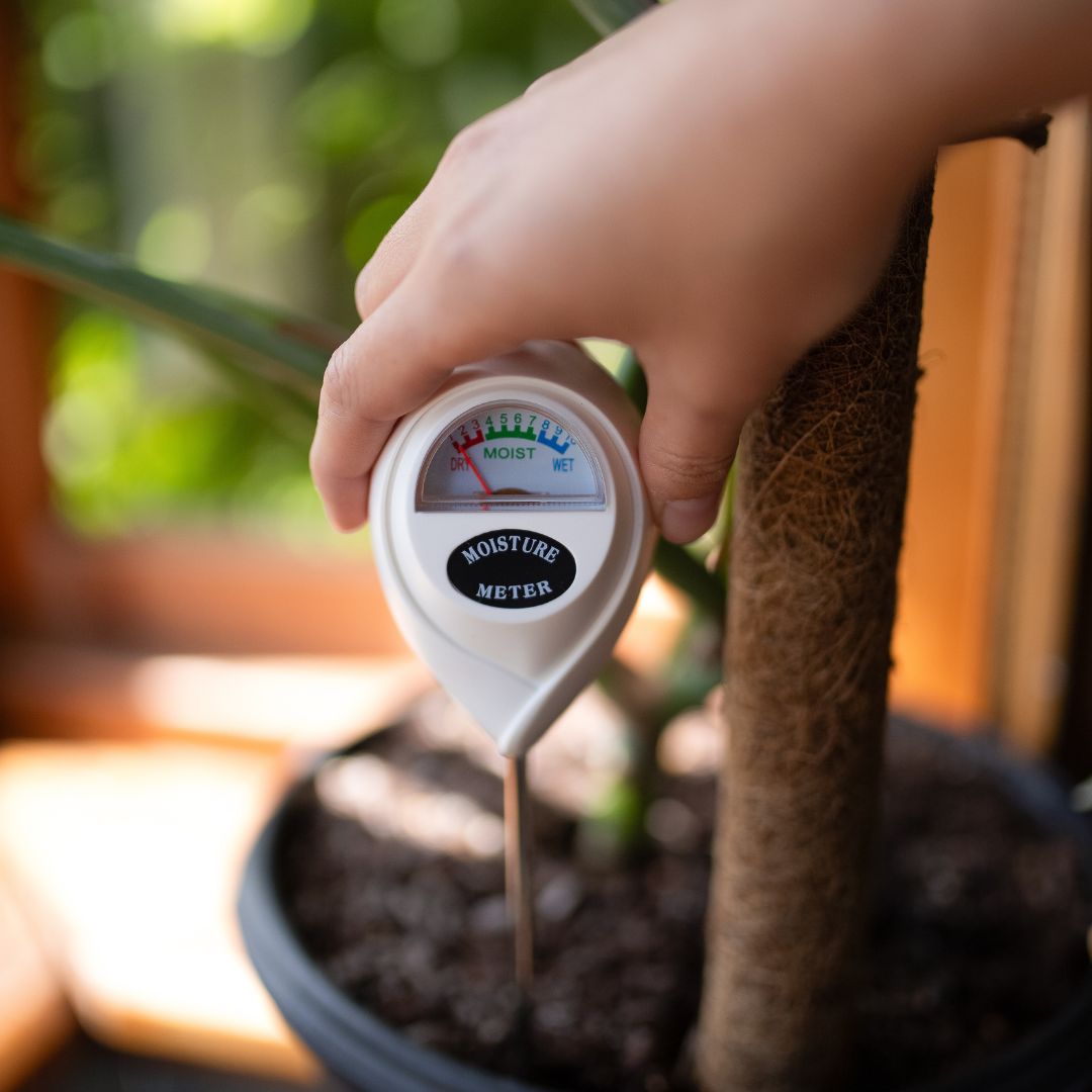 Soil Moisture Meter