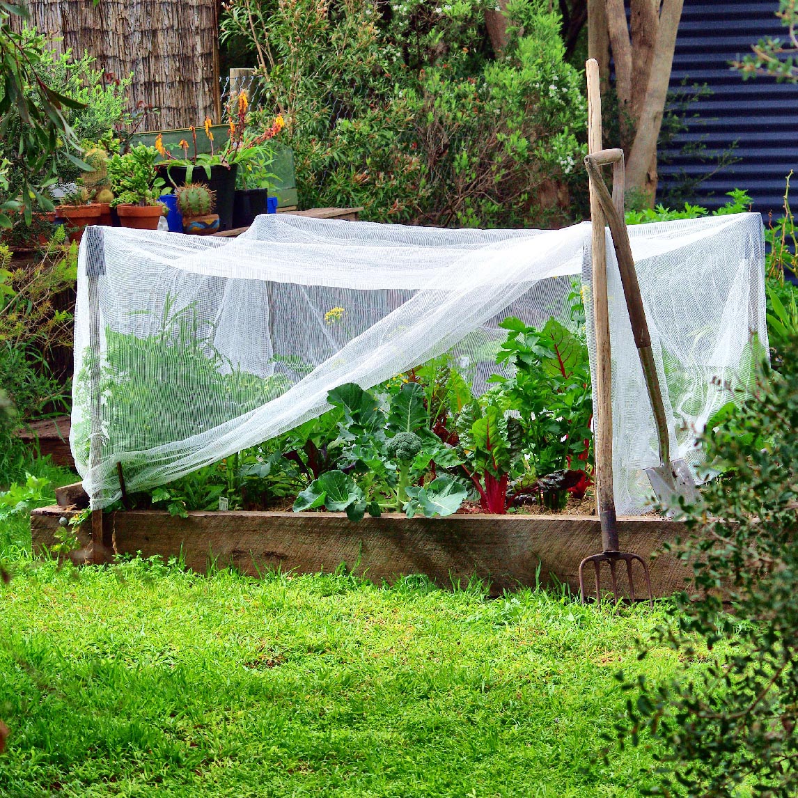 Net Protection Combo