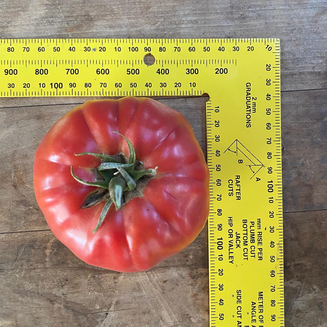 Tomato 'Nonna's Italian Passata' (Organic)