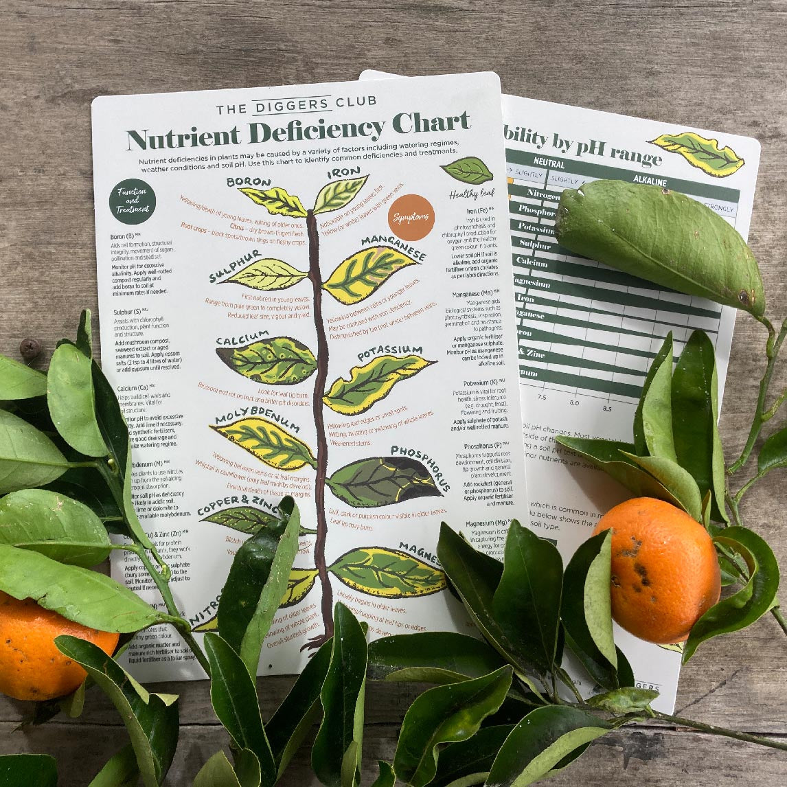 Diggers Nutrient Deficiency Chart