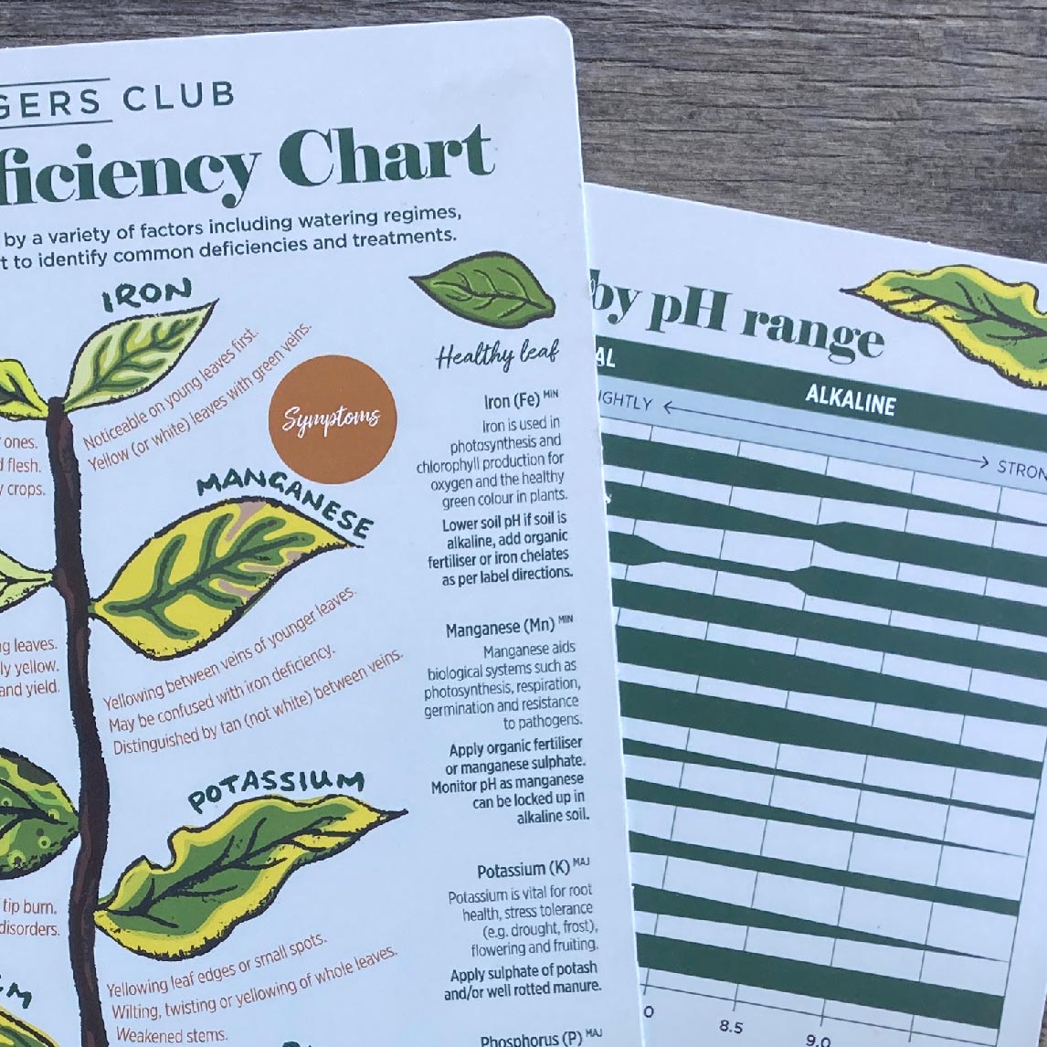 Diggers Nutrient Deficiency Chart