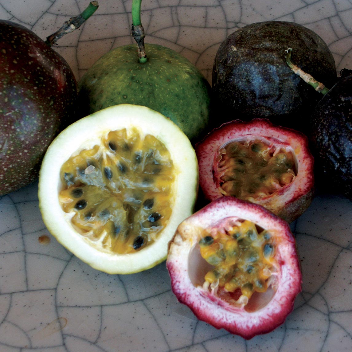 Passionfruit 'Black'