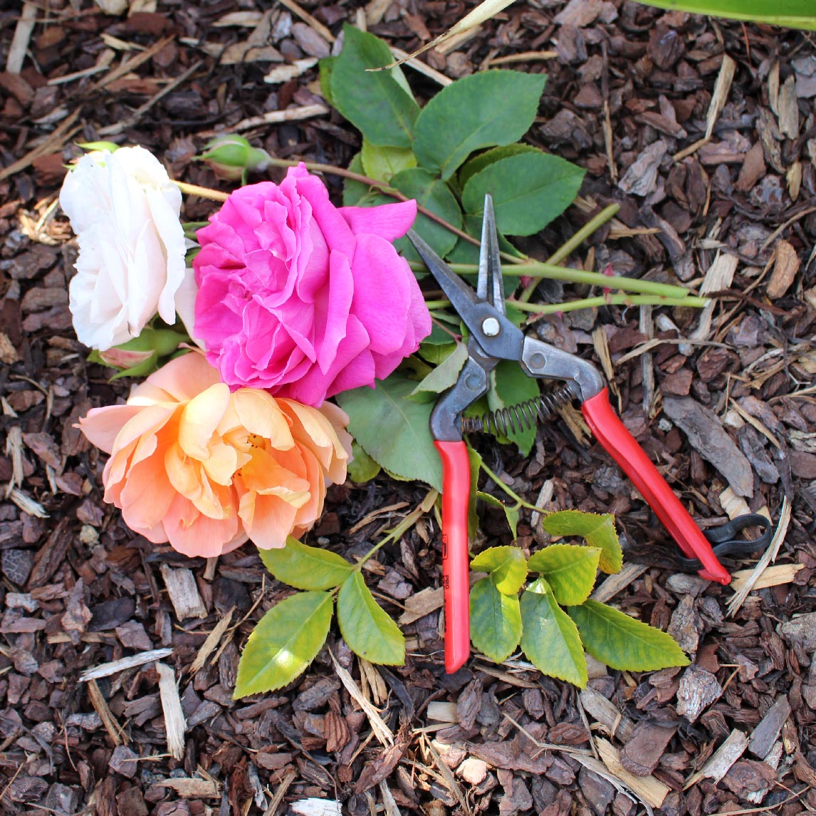 Quality Pruning Snips