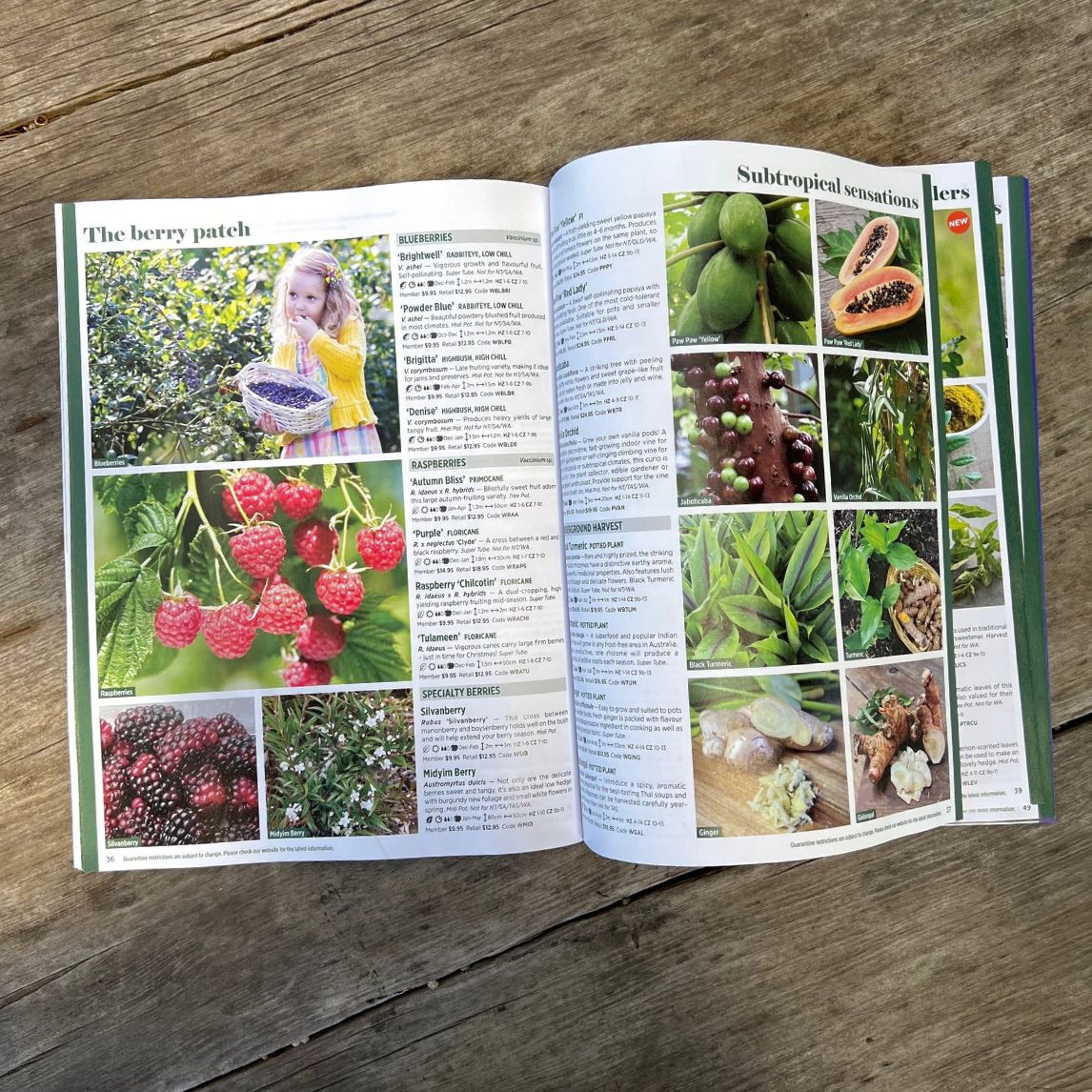 Diggers Summer Magazine 2025