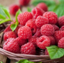Raspberry long harvest.jpg__PID:4f9dd856-298a-4db8-a9a2-abf20a82fa92