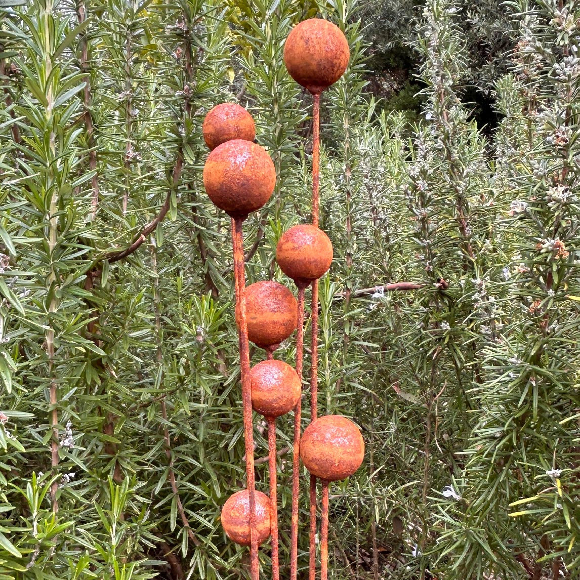Billy Buttons - Rust Stake
