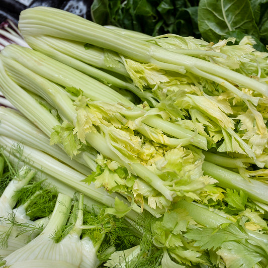 Celery 'Golden Boy'