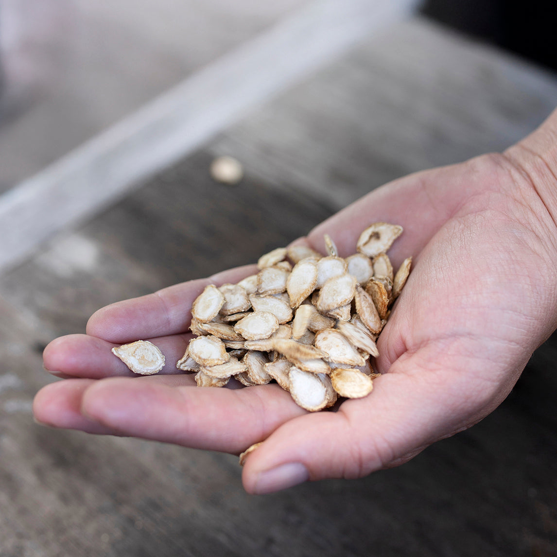 Pumpkin 'Shane's Butternut'