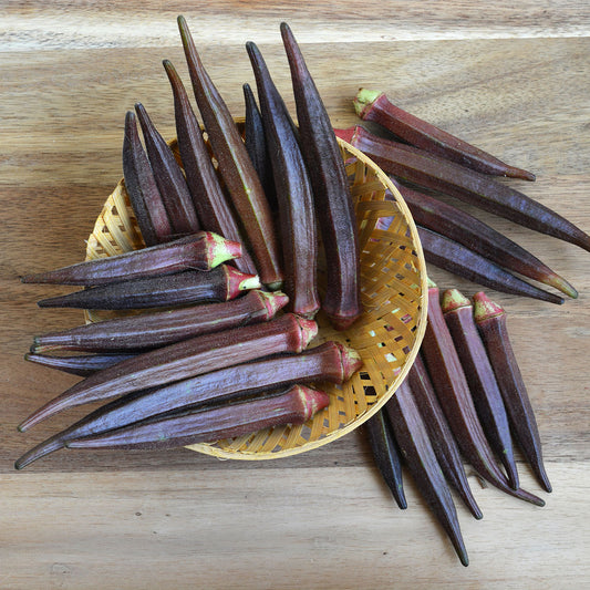 Okra 'Red Burgundy'