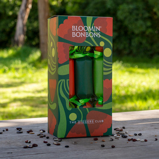 Bloomin' Bonbons 6 Pack