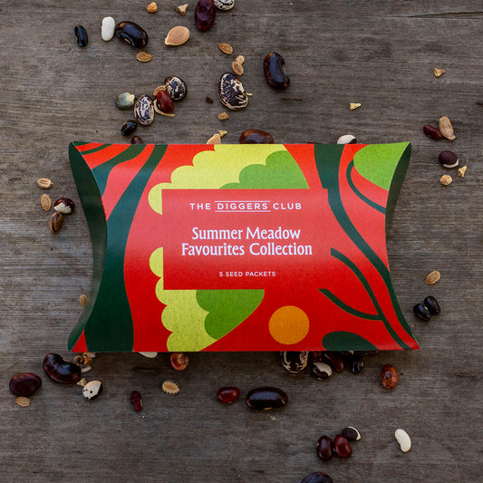 Seed Collection Pillow Box - Summer Meadow Favourites