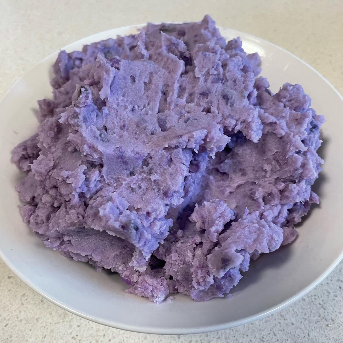 Seed Potato 'Purple Congo'
