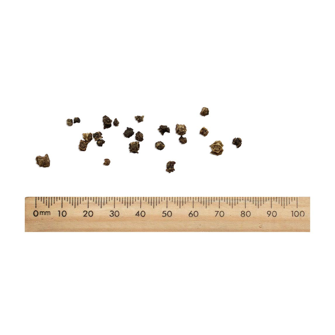 Silverbeet 'Five Colour Mix' (Organic)