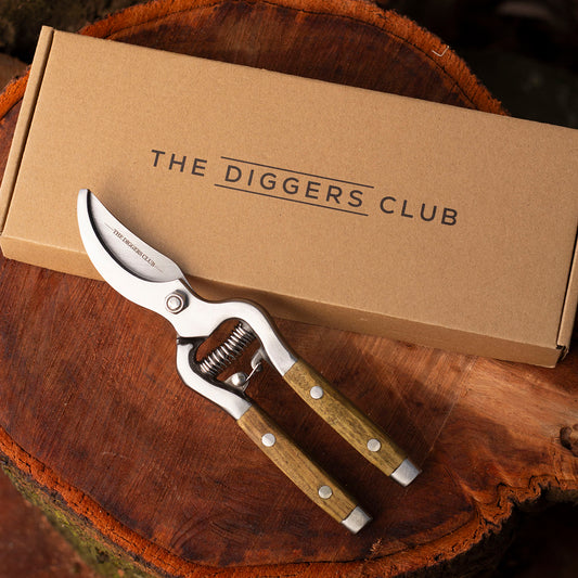 Premium Stainless Steel Secateurs