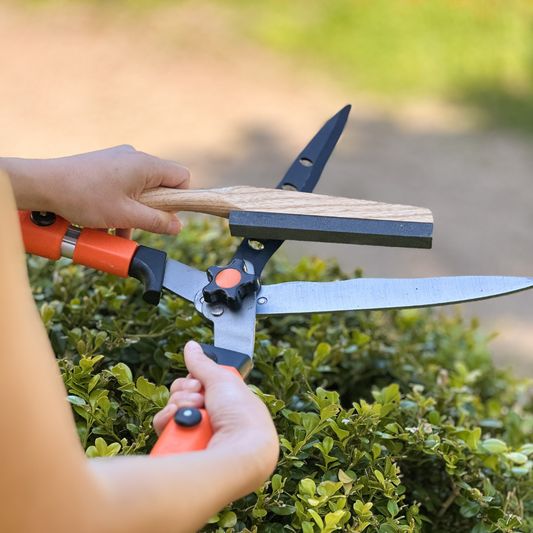 Premium Stone Tool Sharpener