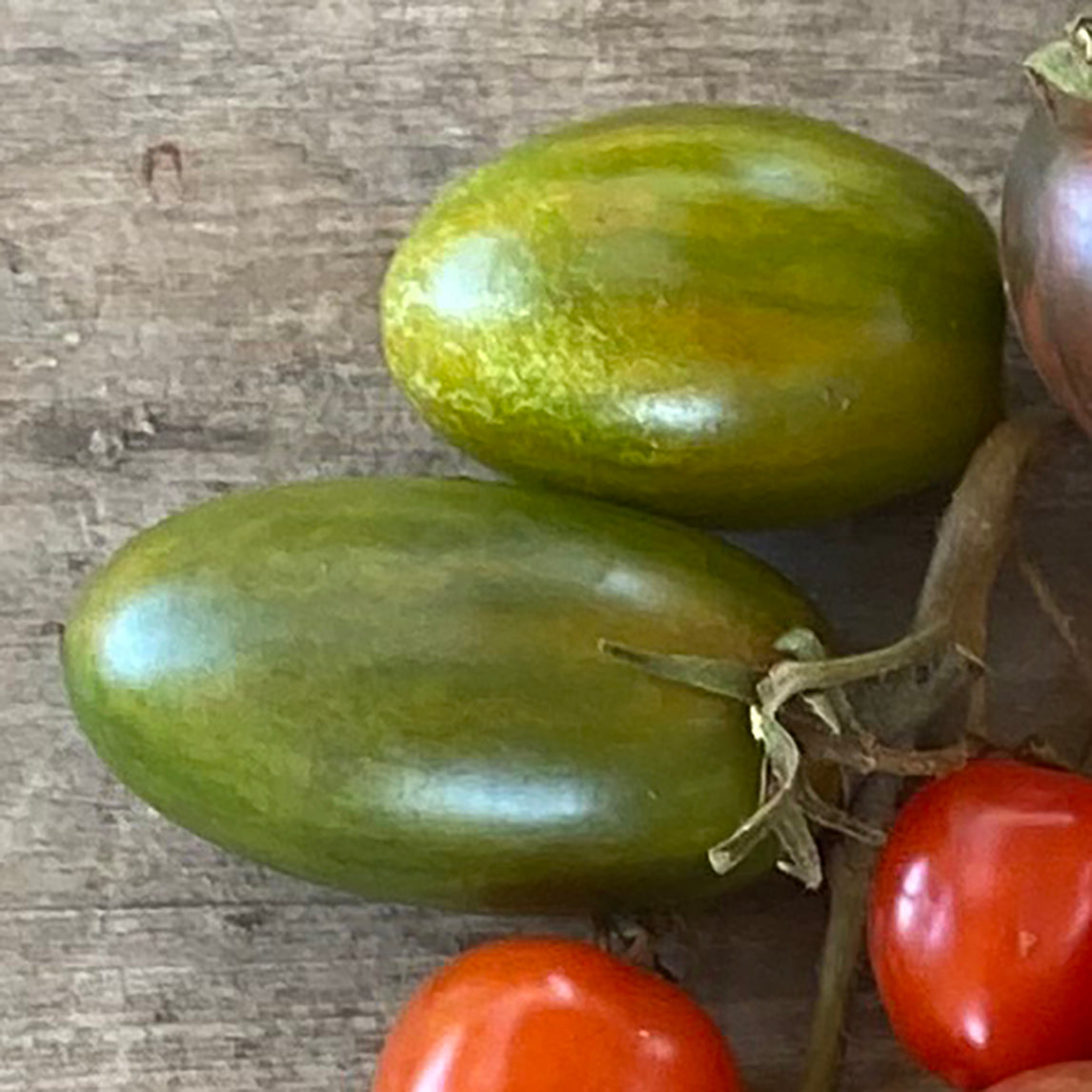 Tomato 'Green Tiger' (Organic)