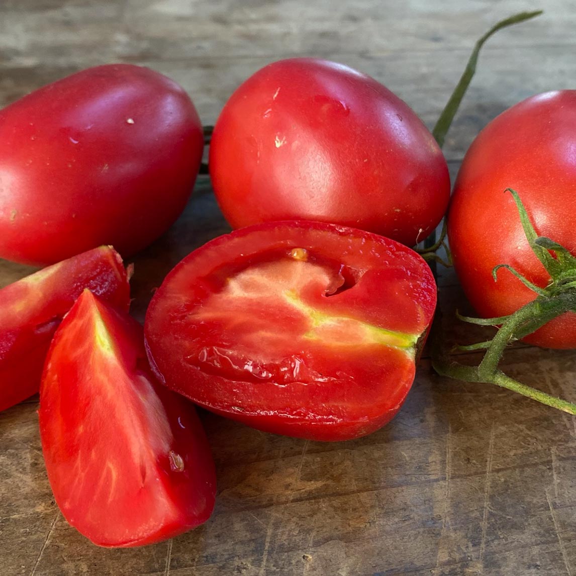 Tomato 'Leicester Jones'