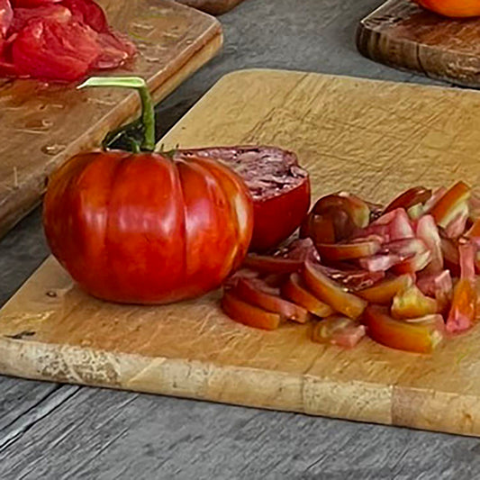Tomato 'Sleeping Lady'